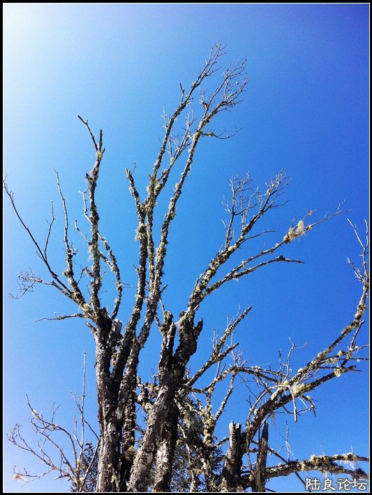 ��ȱҲ��һ����1 (8).JPG