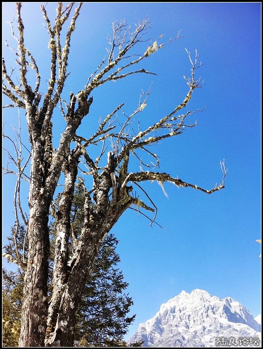 ��ȱҲ��һ����1 (9).JPG