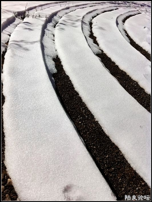 ��ȱҲ��һ����1 (11).JPG