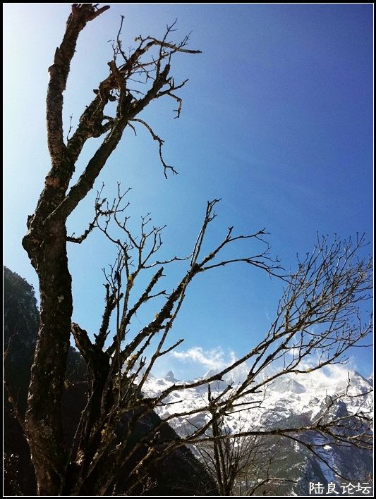 ��ȱҲ��һ����1 (12).JPG