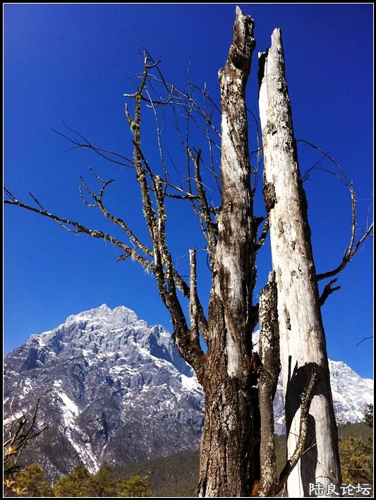 ��ȱҲ��һ����1 (13).JPG