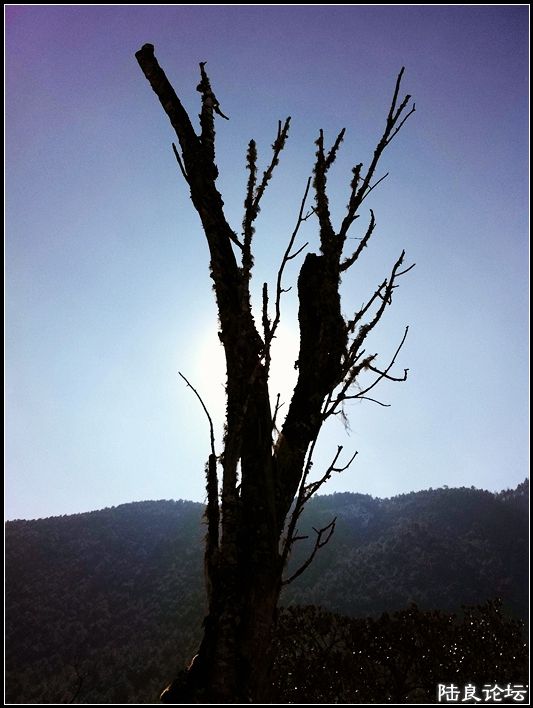 ��ȱҲ��һ����1 (14).JPG