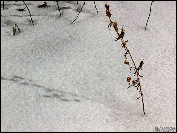 ��ȱҲ��һ����1 (15).JPG