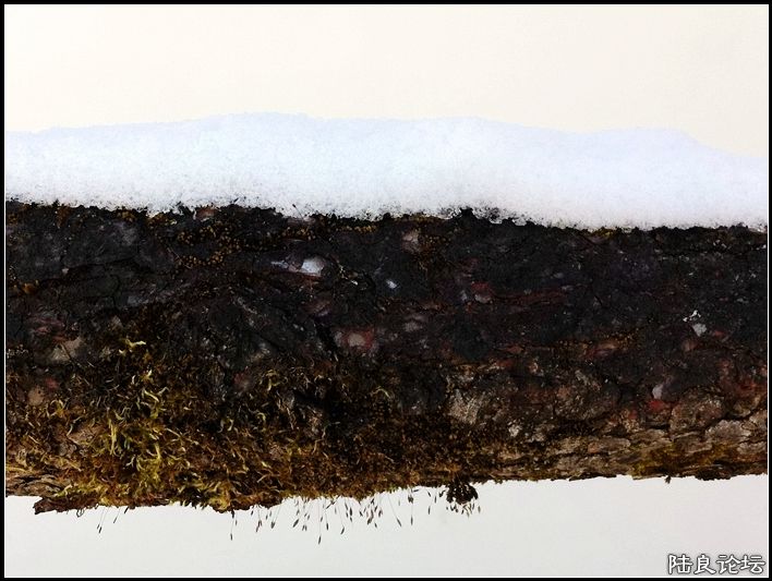 ��ȱҲ��һ����1 (16).JPG