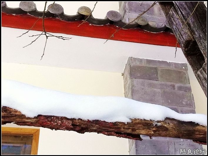 ��ȱҲ��һ����1 (17).JPG