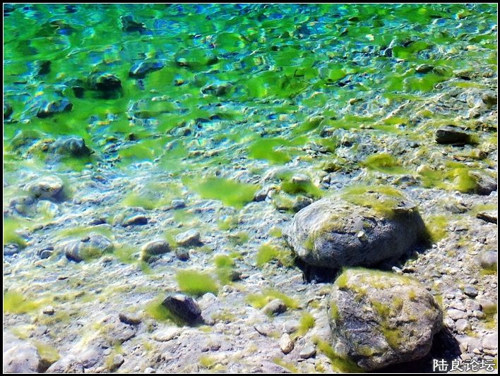 ��ȱҲ��һ����1 (21).JPG