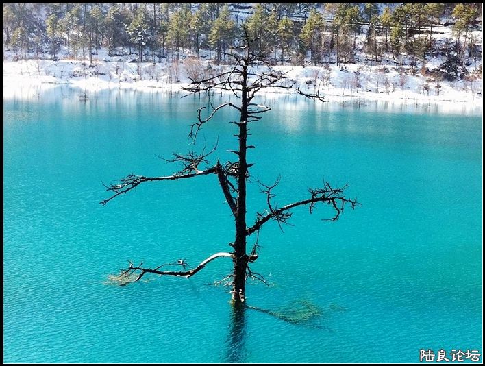 ��ȱҲ��һ����1 (23).JPG