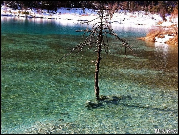 ��ȱҲ��һ����1 (27).JPG