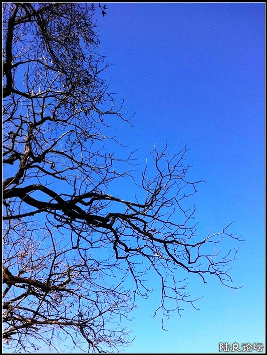 ��ȱҲ��һ����1 (28).JPG