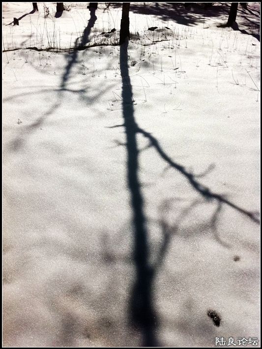 ��ȱҲ��һ����1 (30).JPG