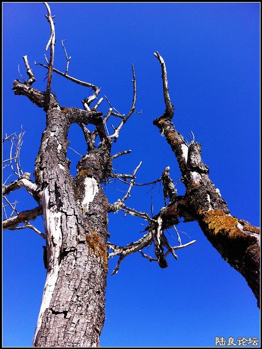 ��ȱҲ��һ����1 (33).JPG