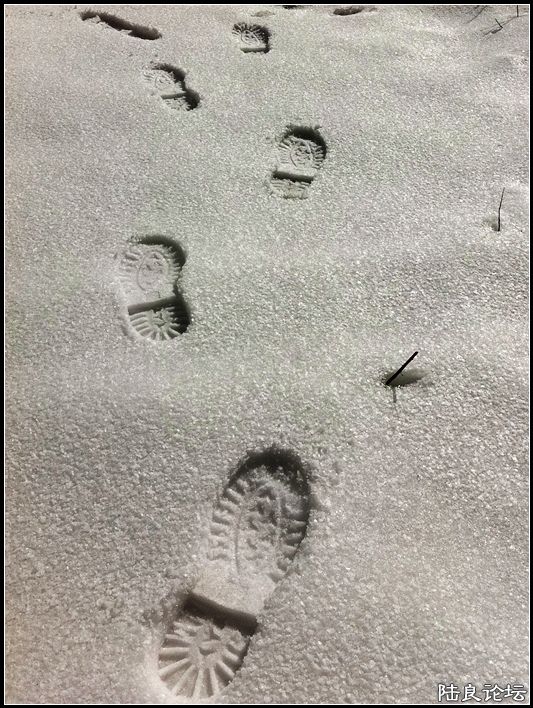 ��ȱҲ��һ����1 (35).JPG