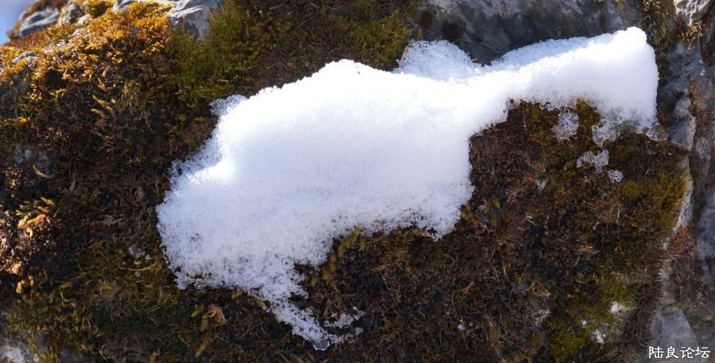 ��ȱ֮�� (2).JPG