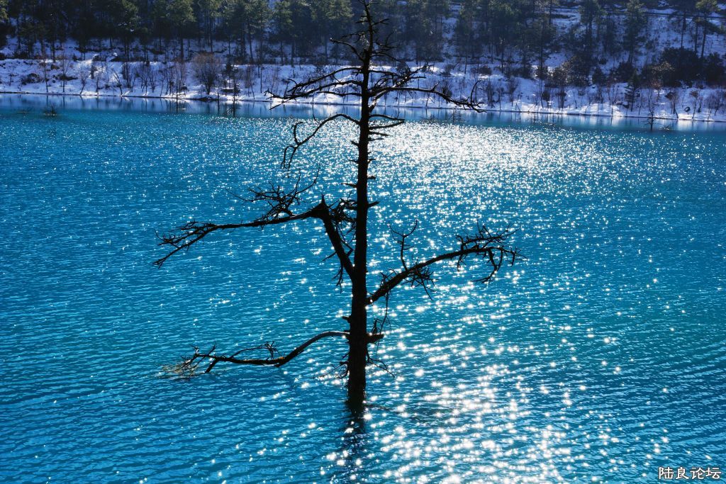 ��ȱ֮�� (3).JPG