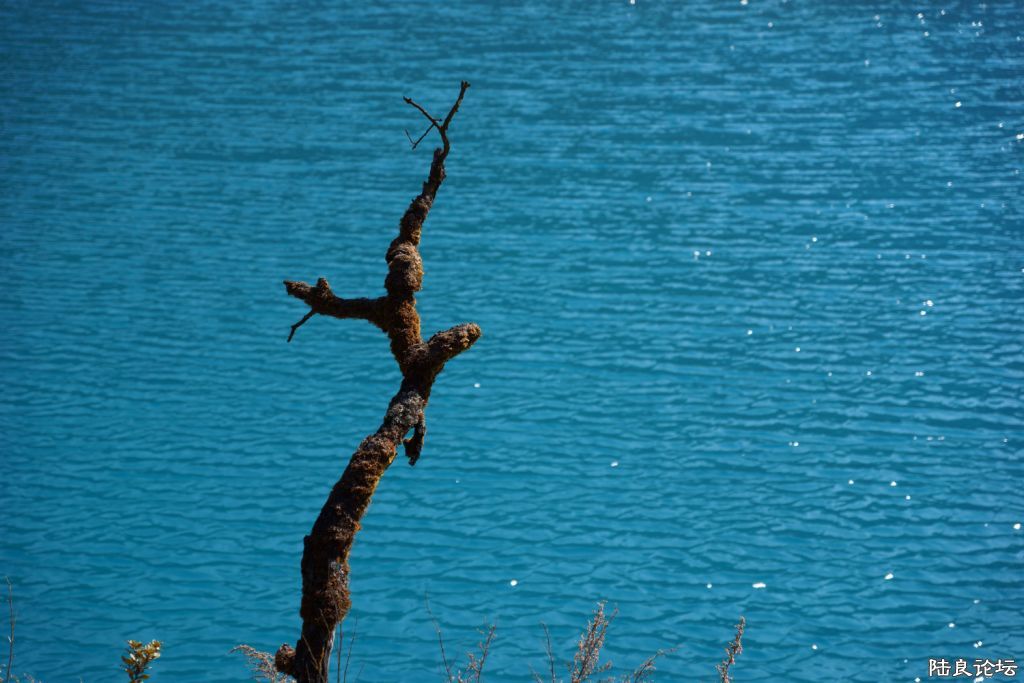 ��ȱ֮�� (4).JPG