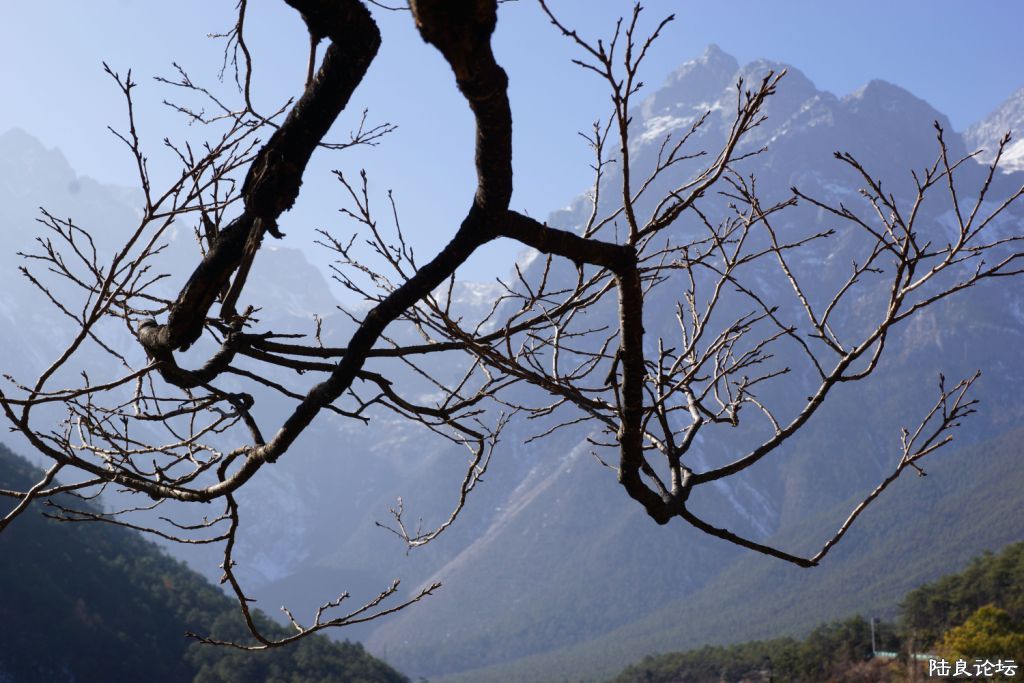 ��ȱ֮�� (5).JPG