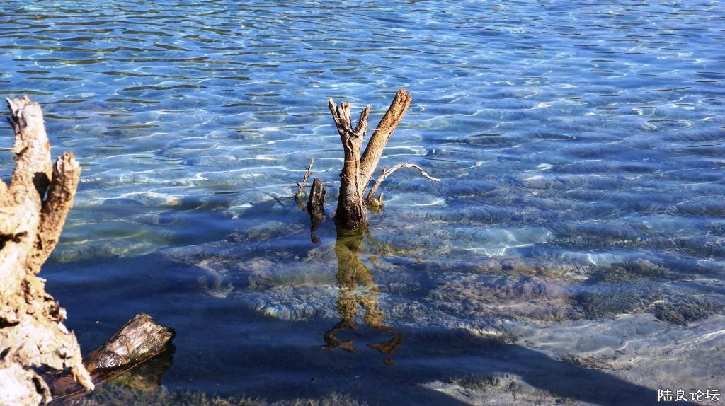 ��ȱ֮�� (6).JPG