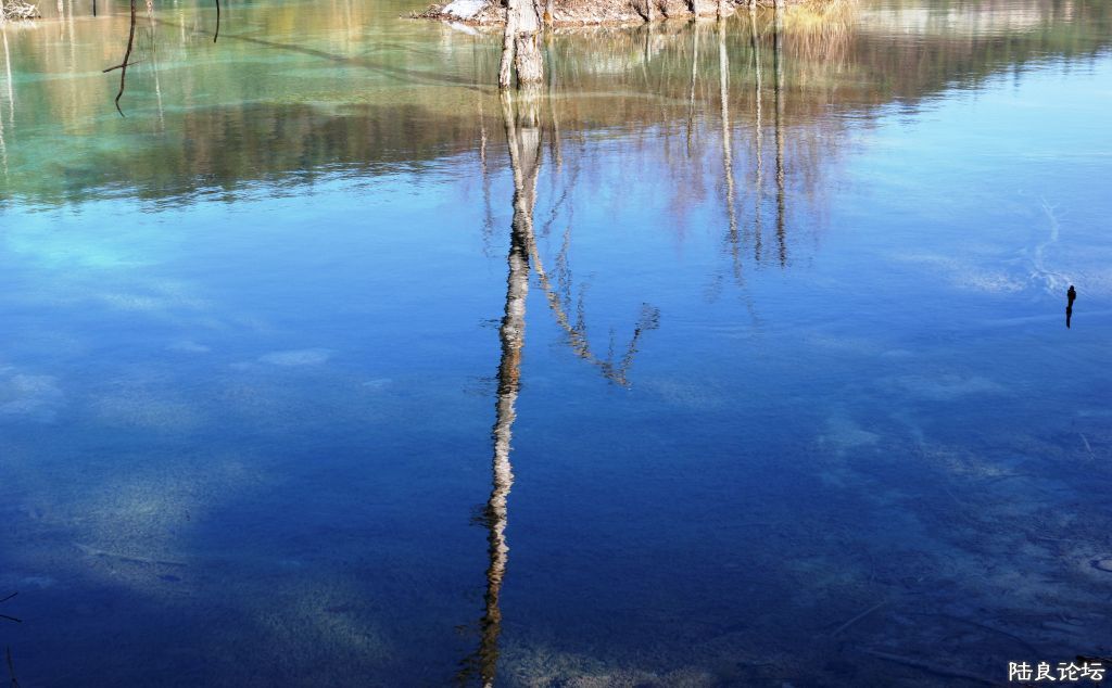 ��ȱ֮�� (7).JPG