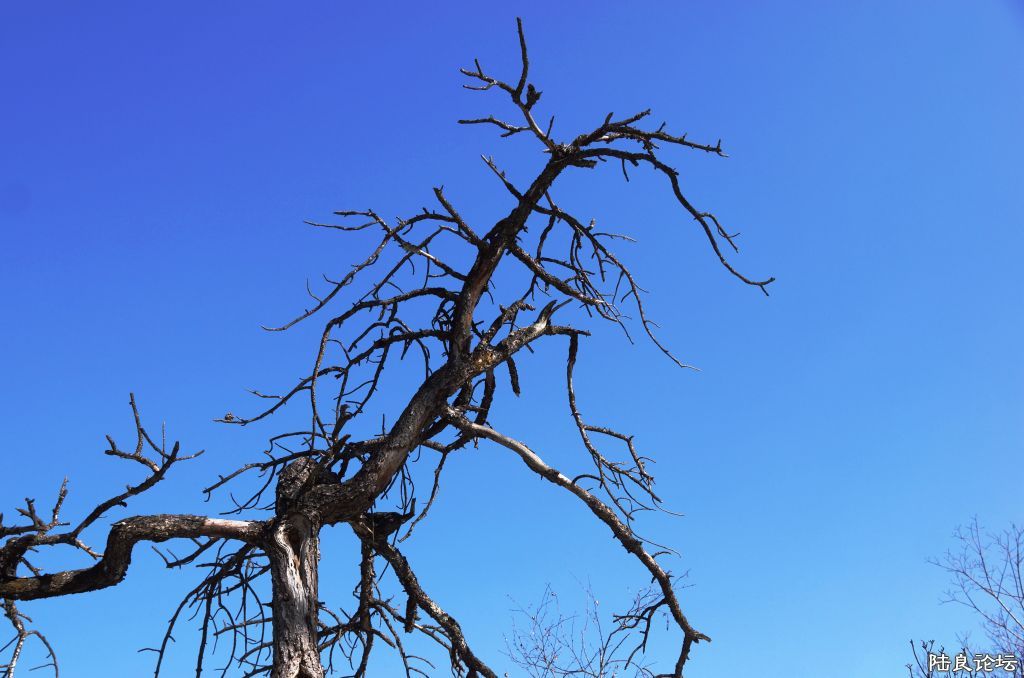 ��ȱ֮�� (8).JPG