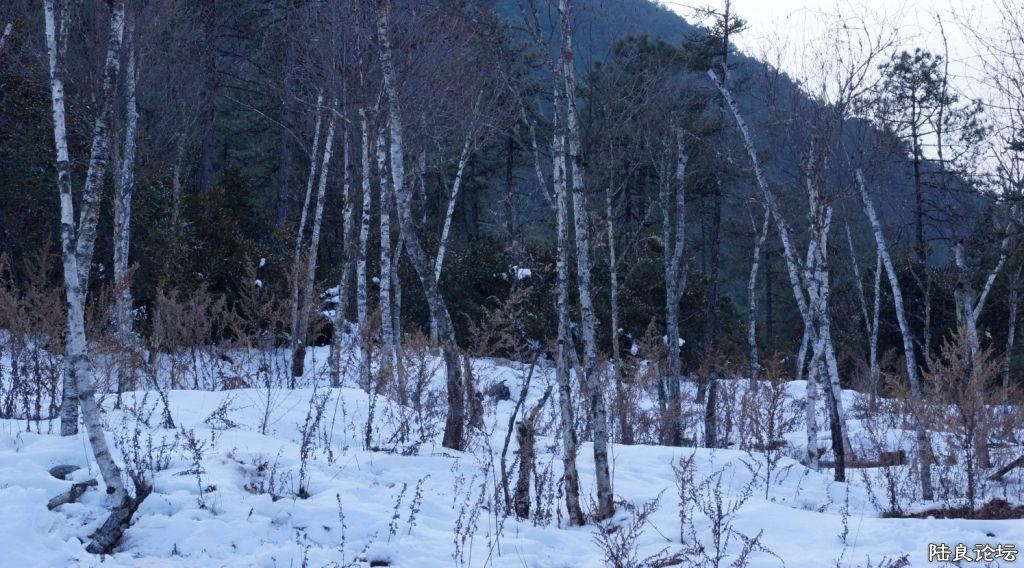 ��ȱ֮�� (11).JPG