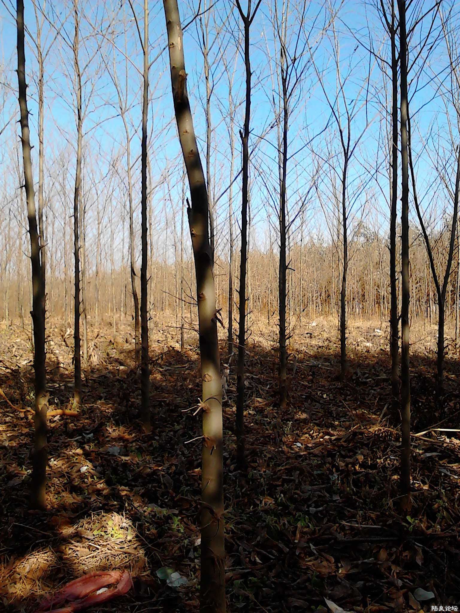 �����ؾ�4CM��2M