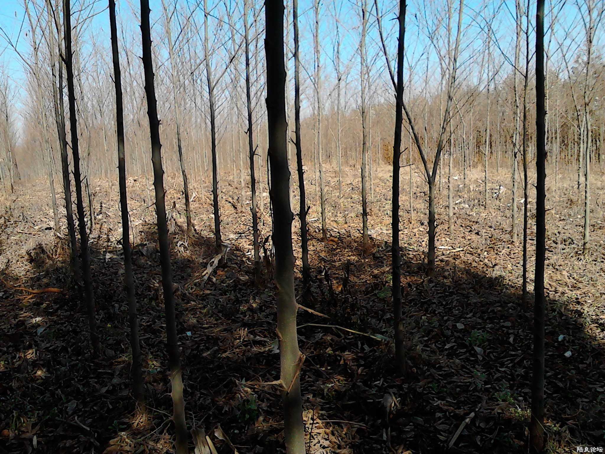 �����ؾ�4CM��2M