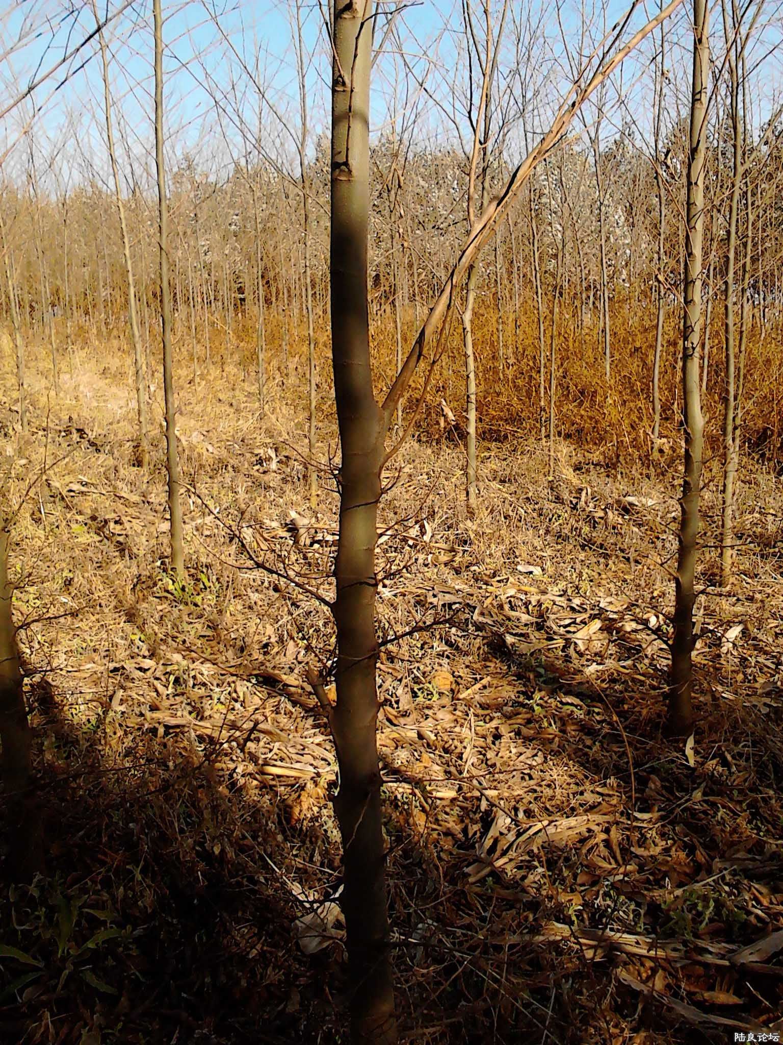 �����ؾ�4CM��2M