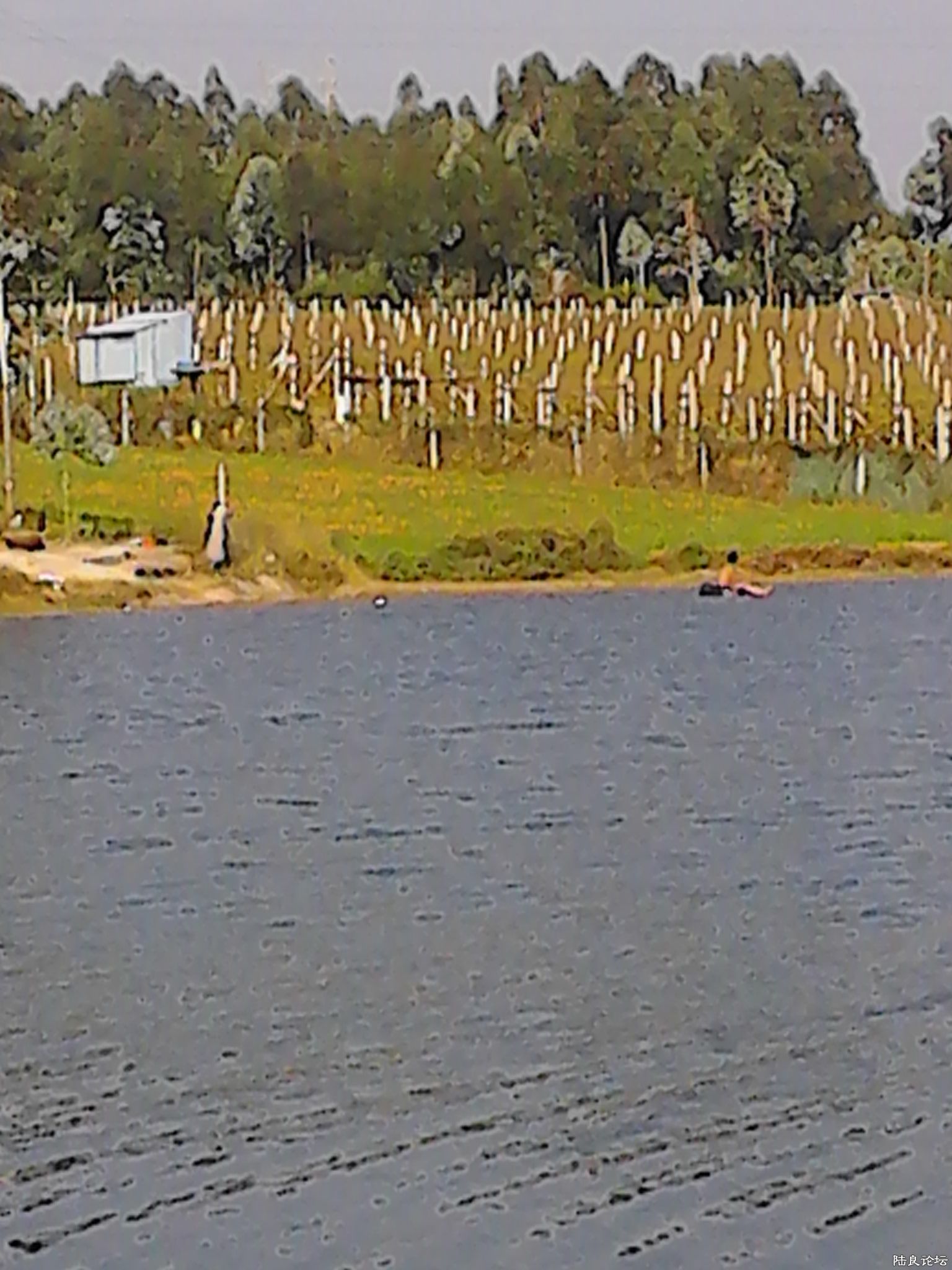 ���ڵ�����