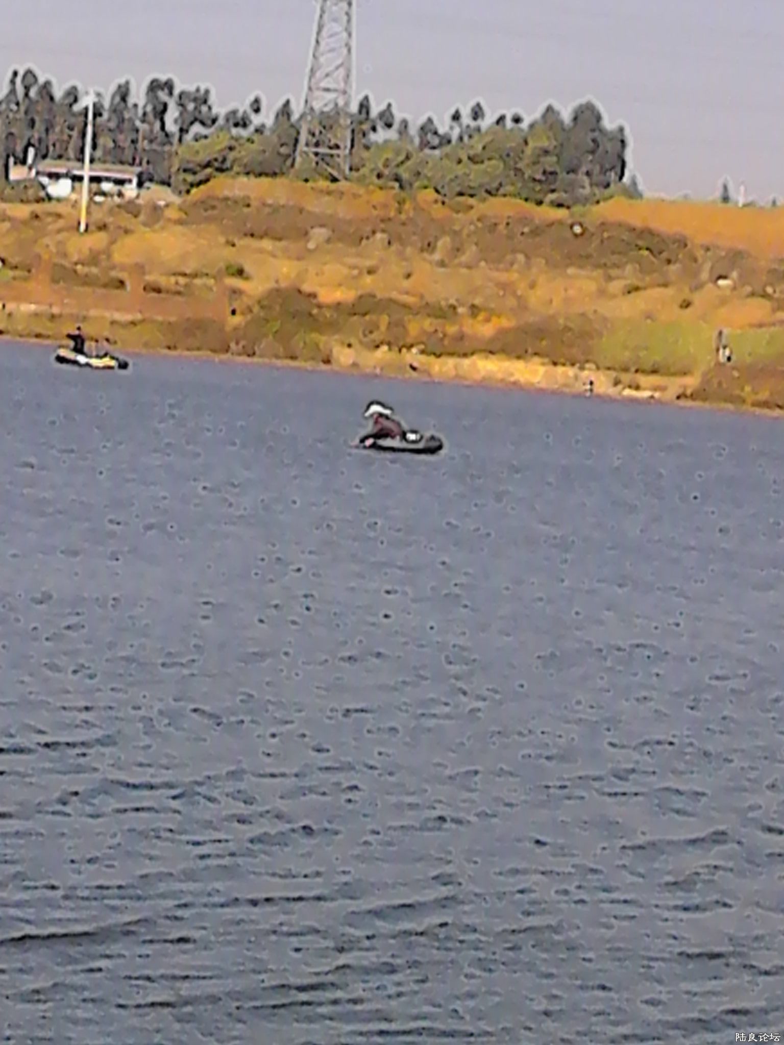 �����Ҷ�