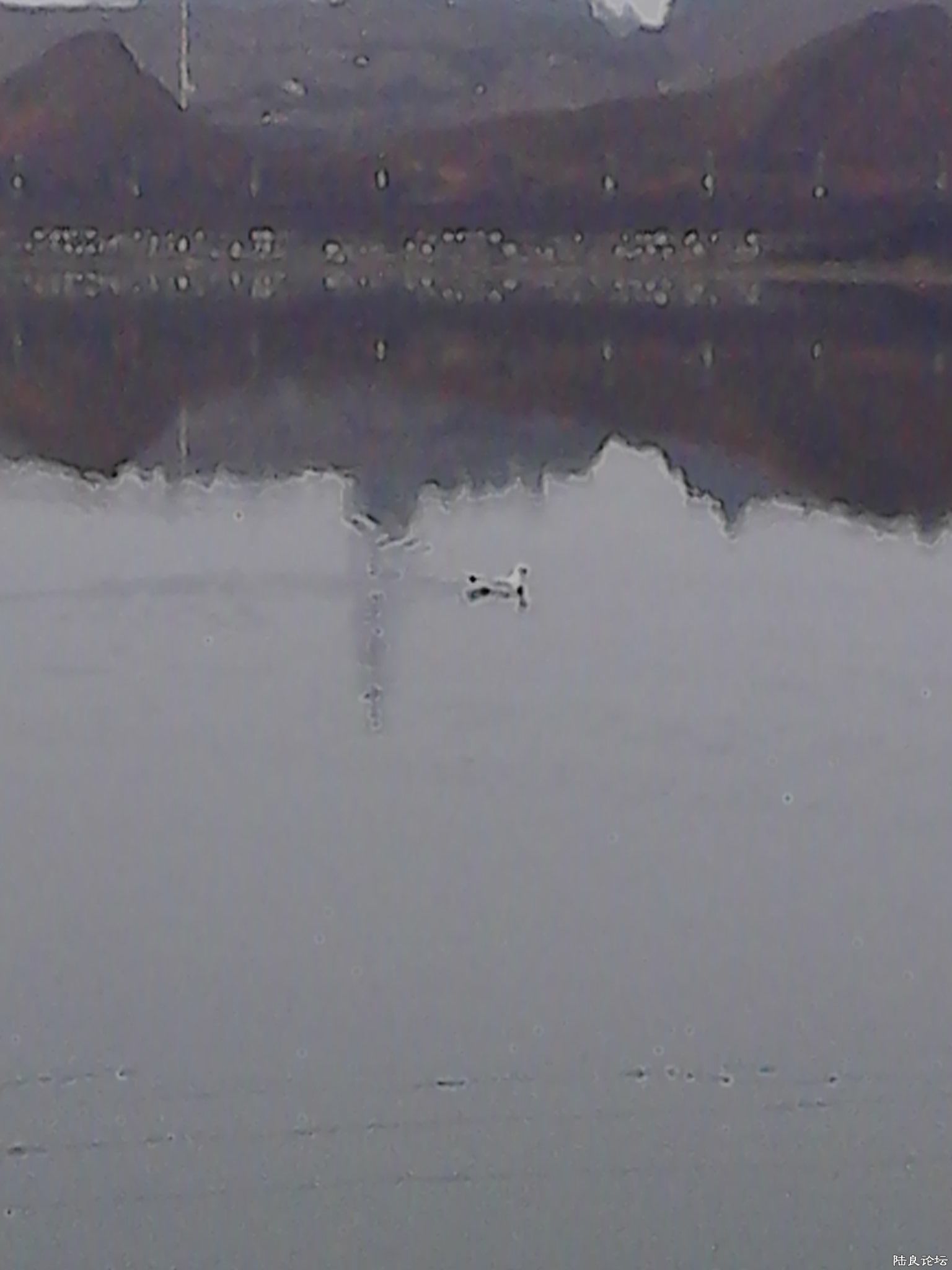 ��һ���ڴ�ˮ�⿴����Ÿ��Ӧ������ͷ���ӣ�Ϸˮ��Сʱ���뿪������֮�������Ǵ�������