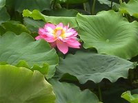 �ּ�ũ�Һɻ���