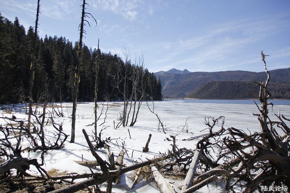 �մ��--������