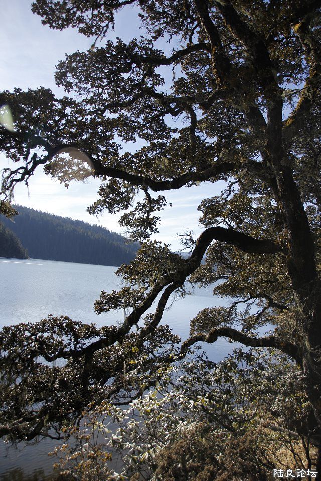 �մ��--������