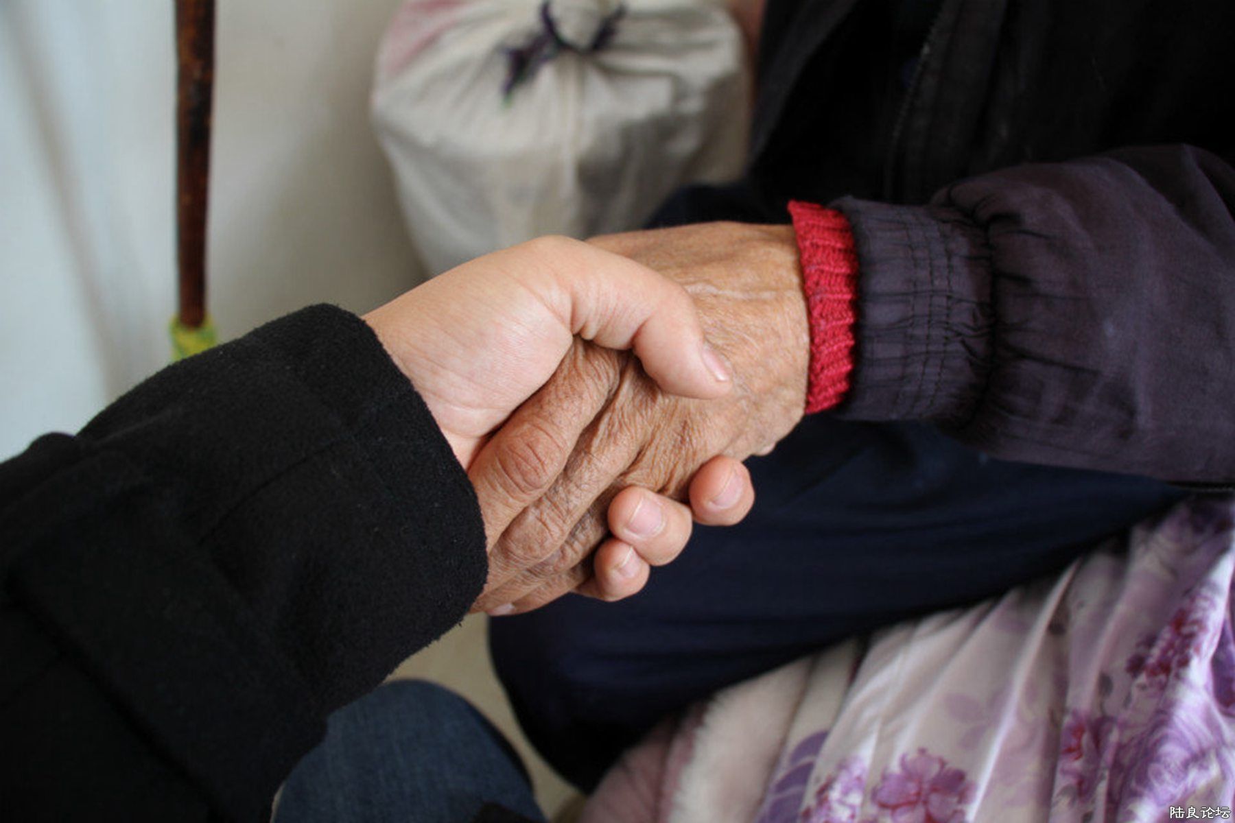 ���� (25).jpg