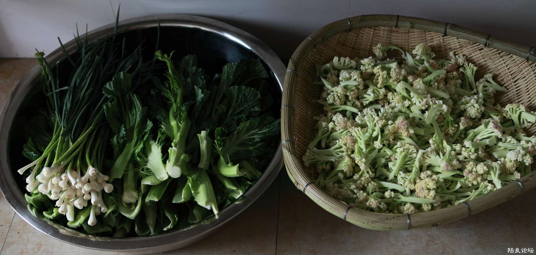 ���� (41).jpg