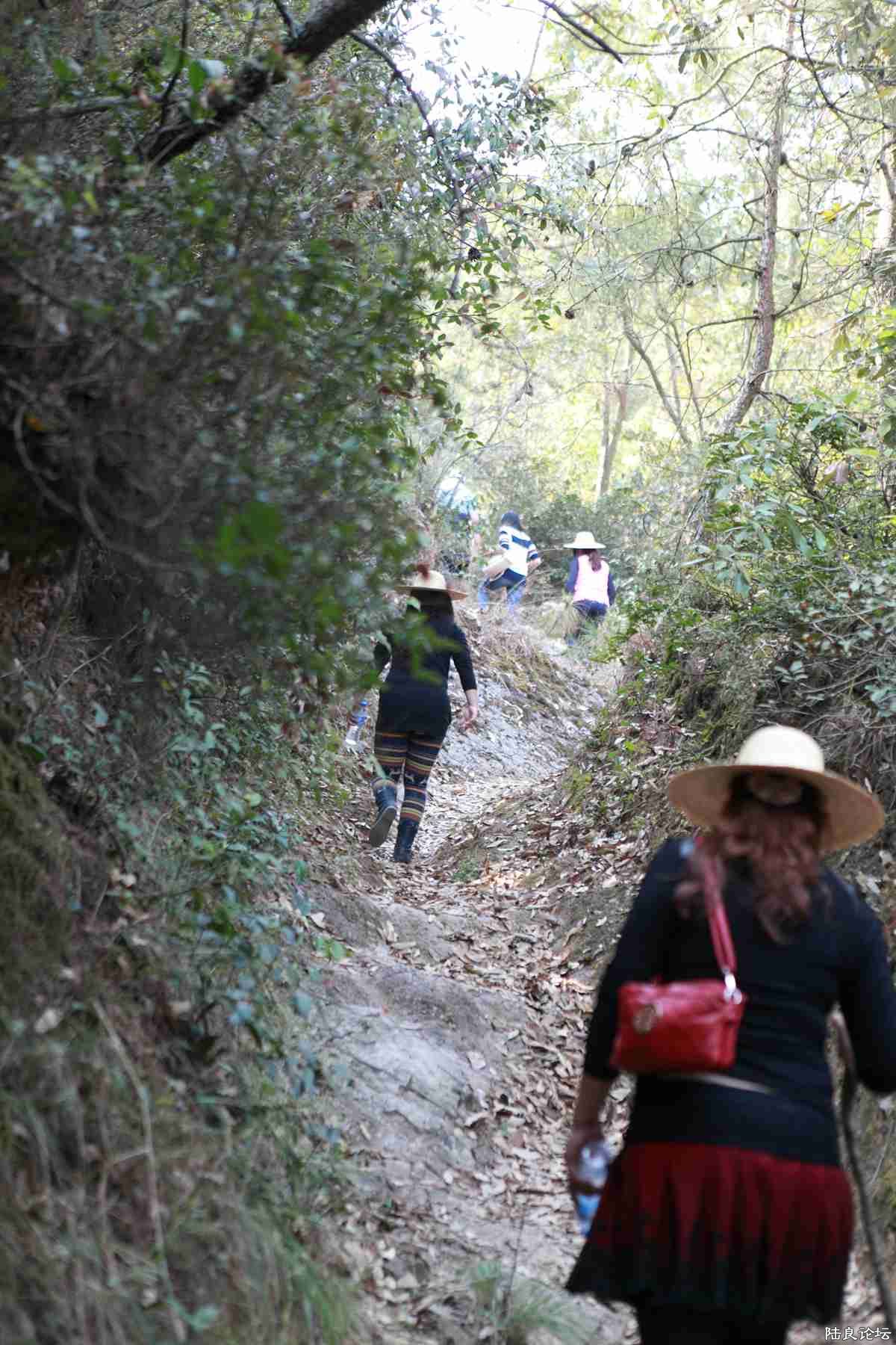 ���� (59).jpg