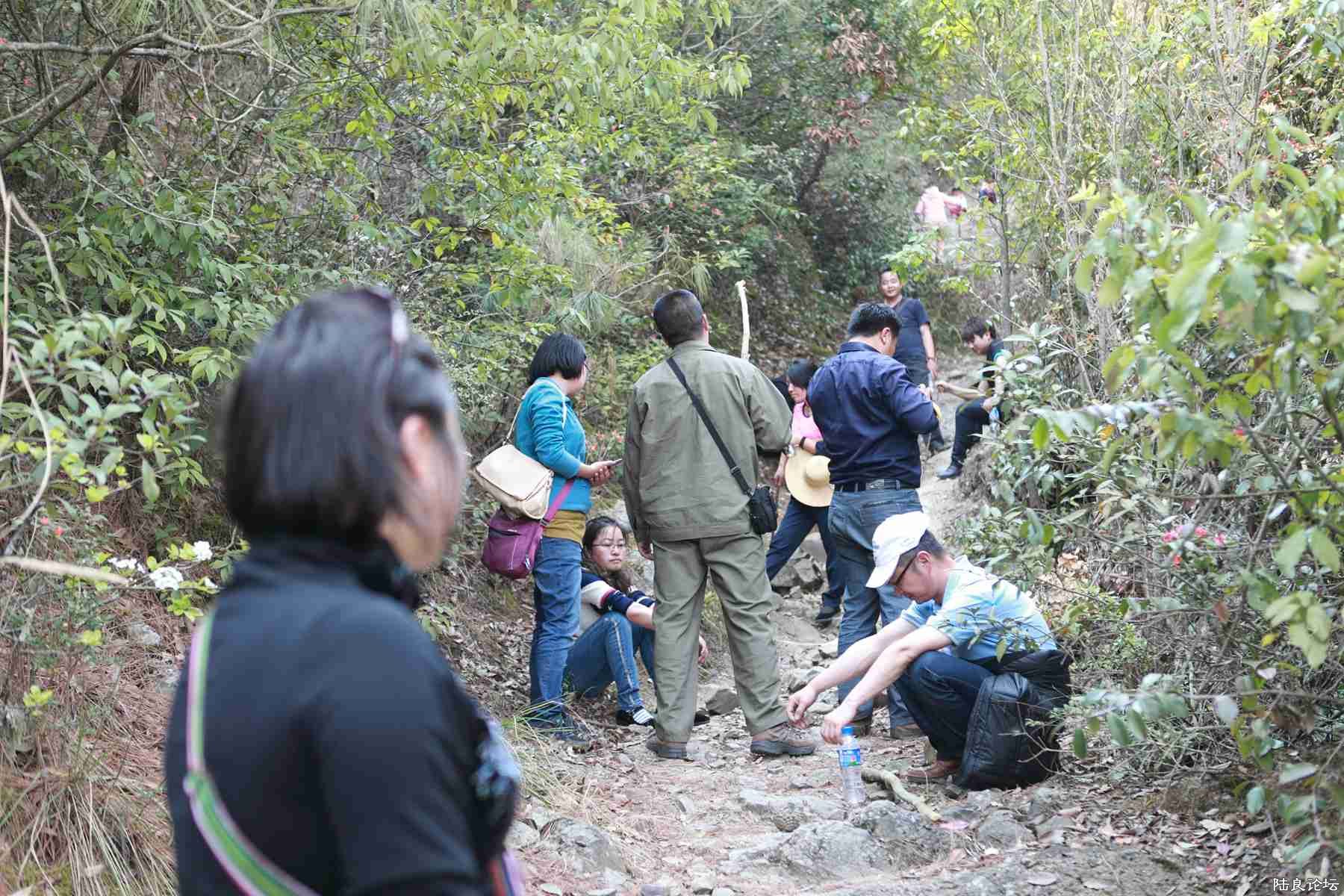 ���� (60).jpg