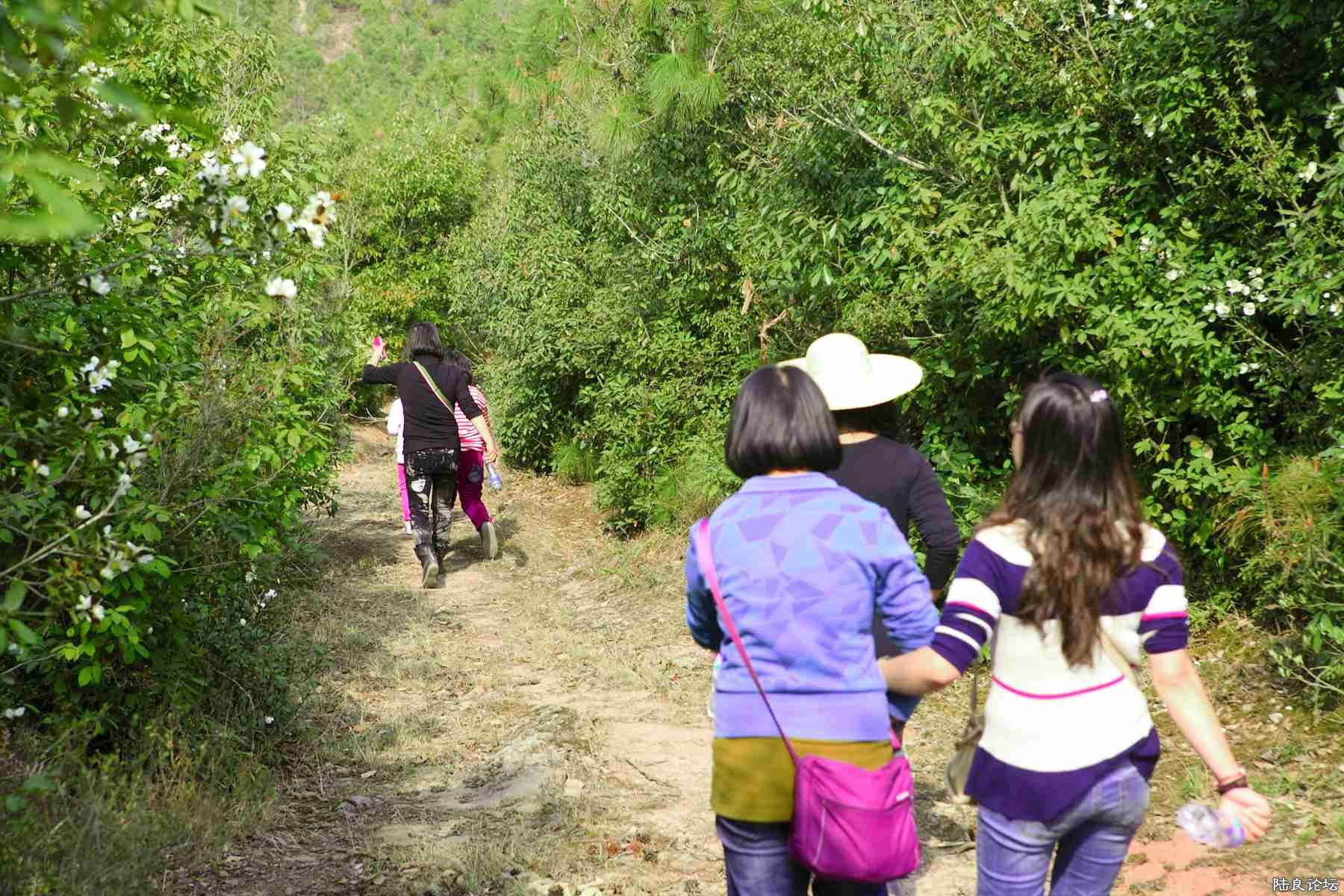 ���� (70).jpg