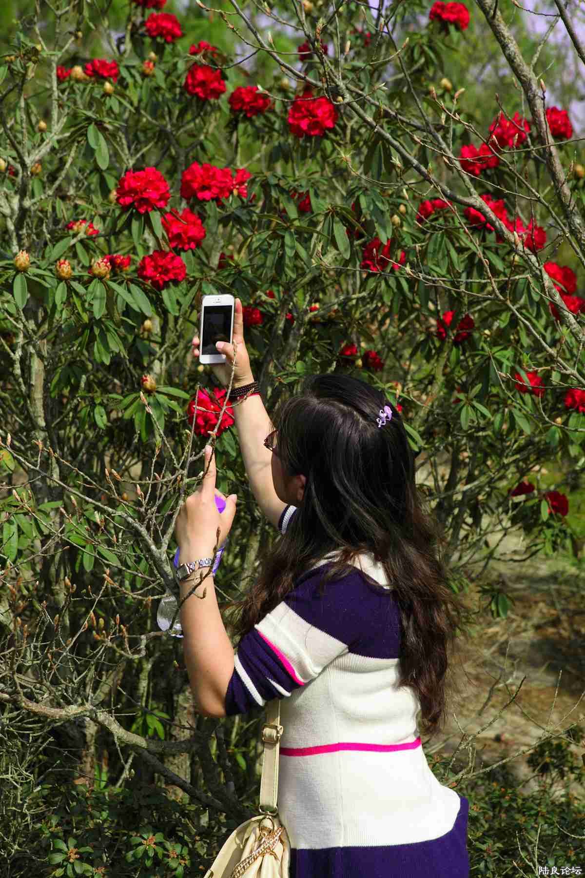 ���� (71).jpg