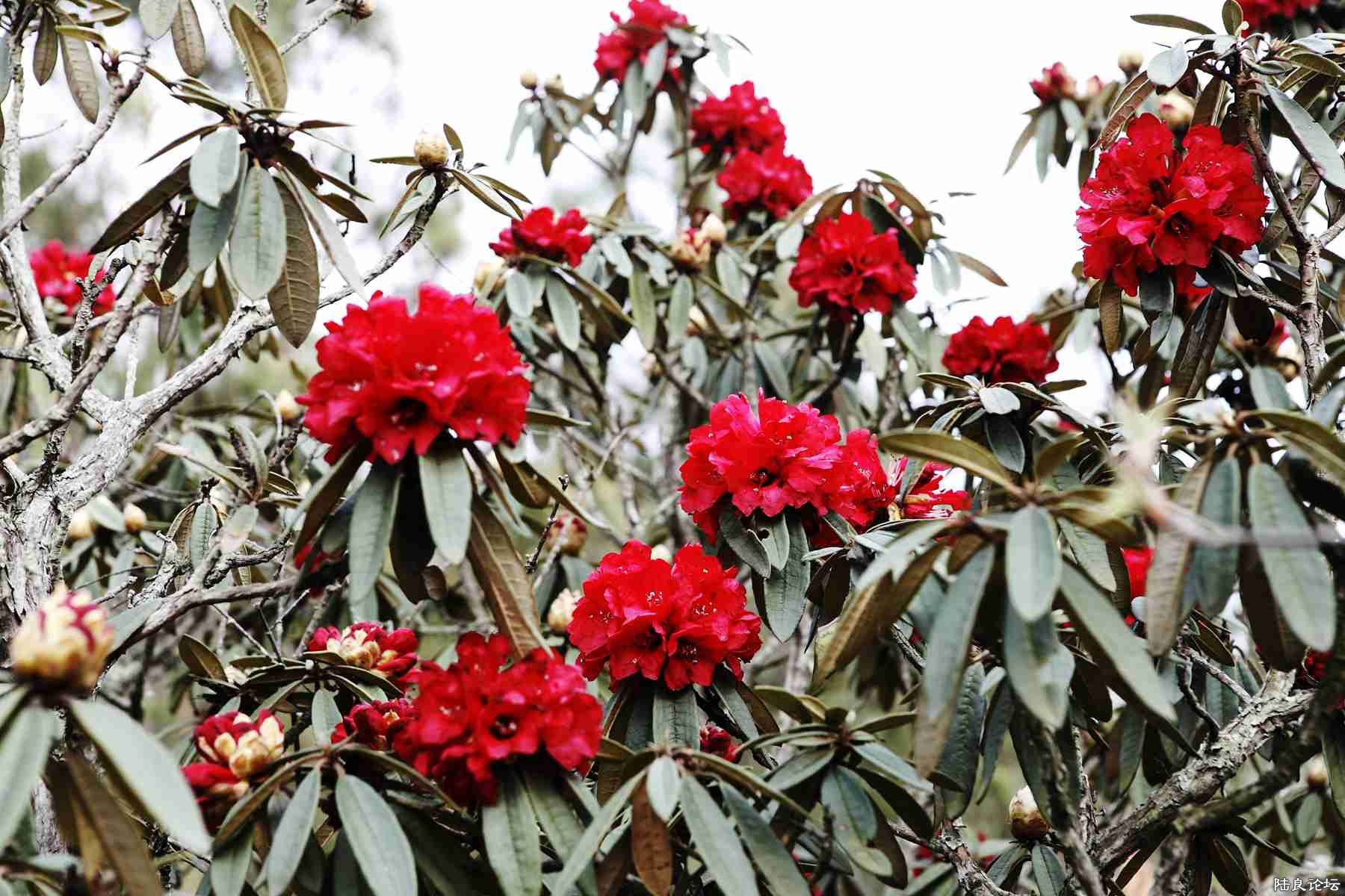 ���� (72).jpg