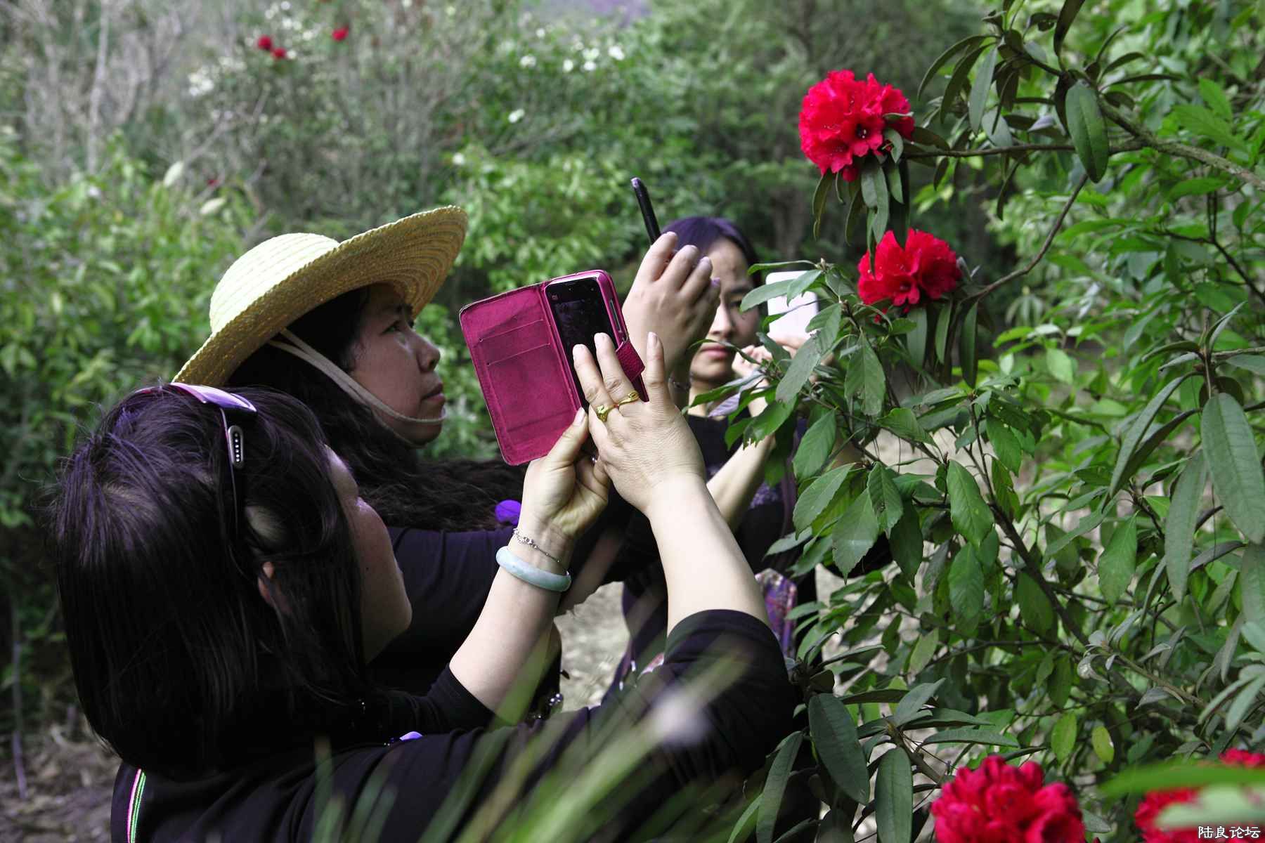 ���� (73).jpg