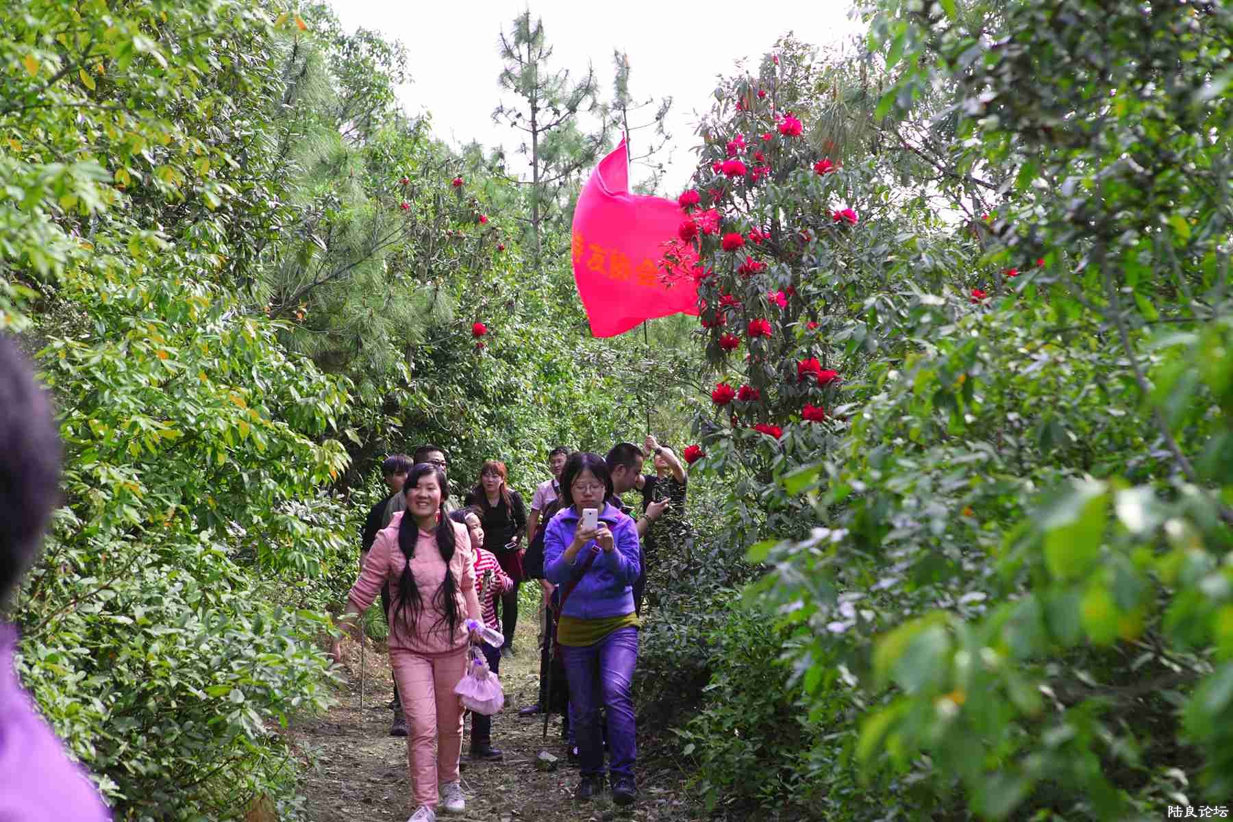 ���� (74).jpg