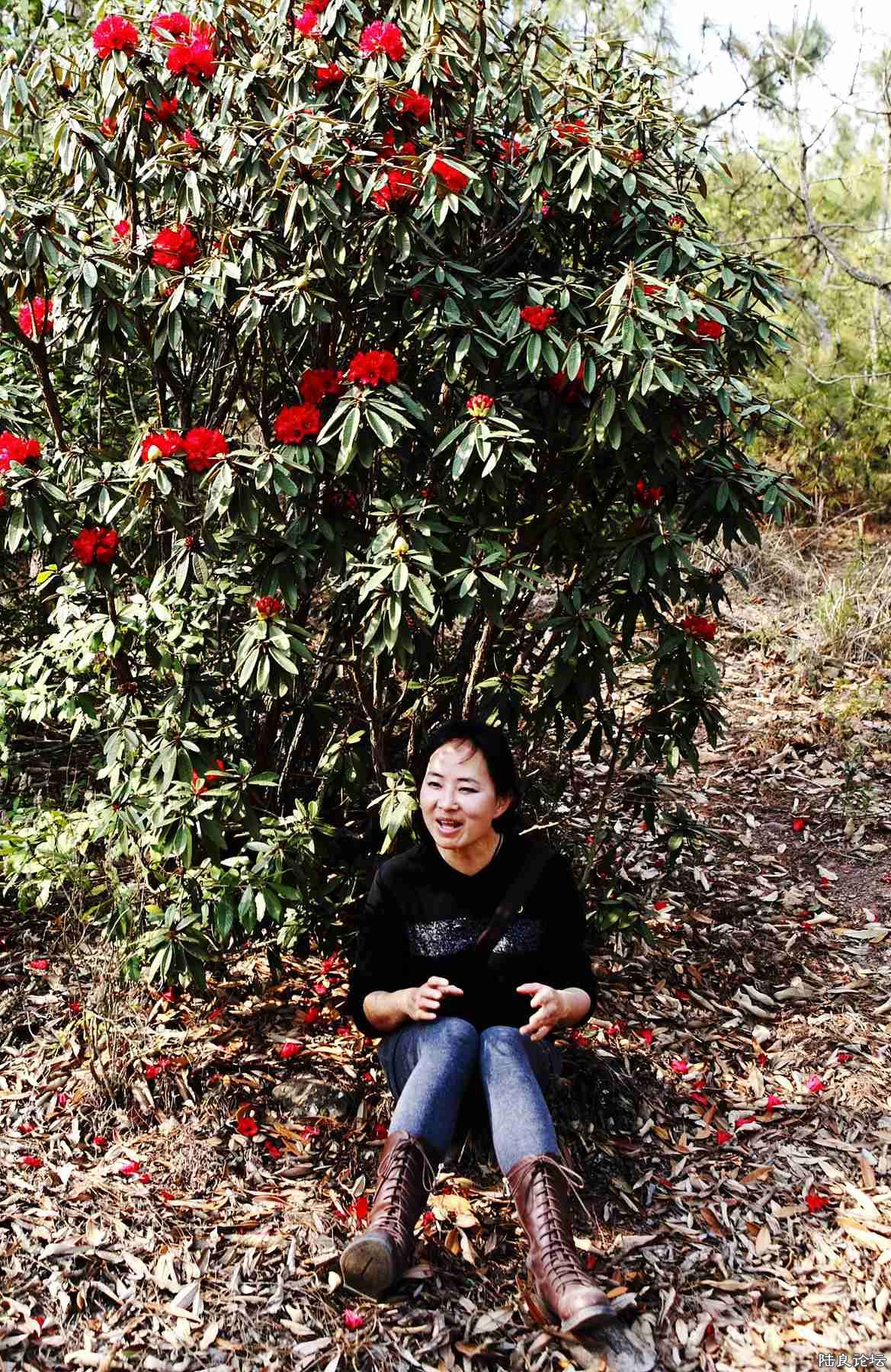 ���� (75).jpg