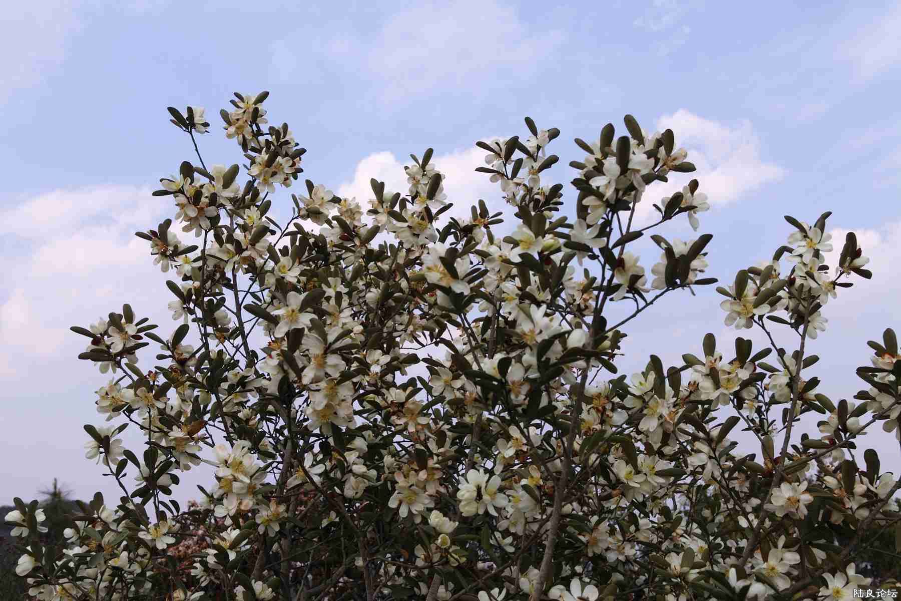 ���� (78).jpg