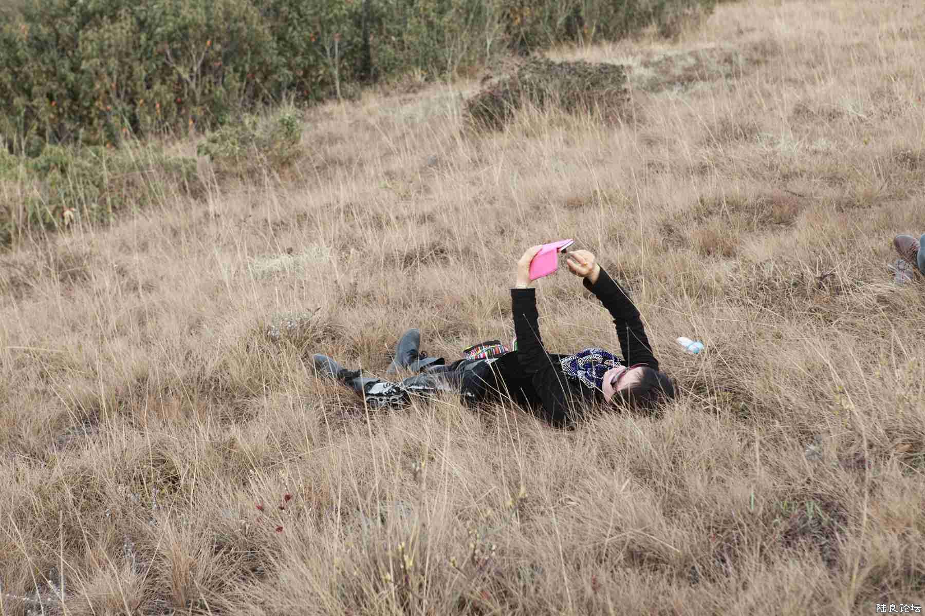 ���� (80).jpg