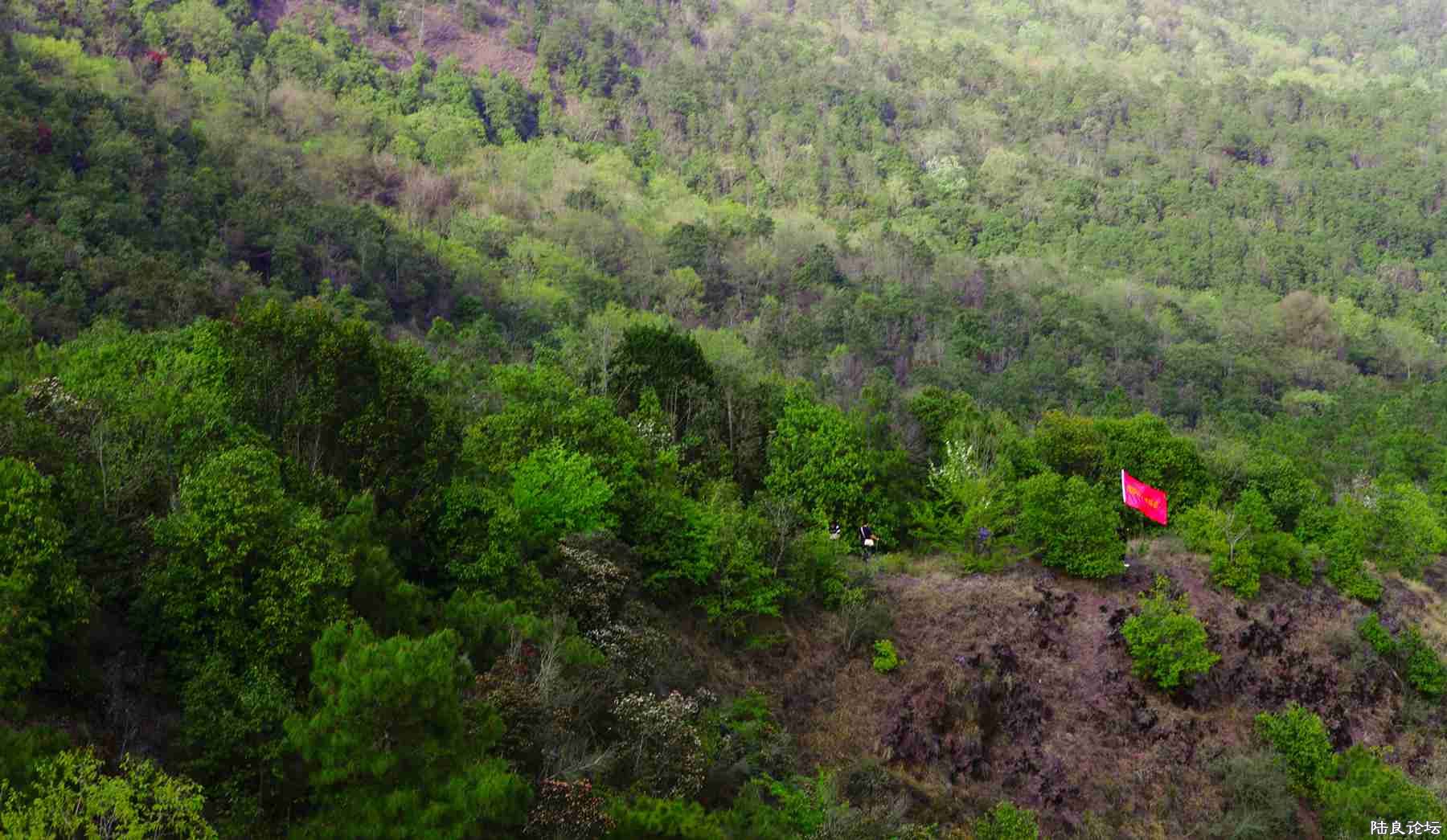 ���� (82).jpg