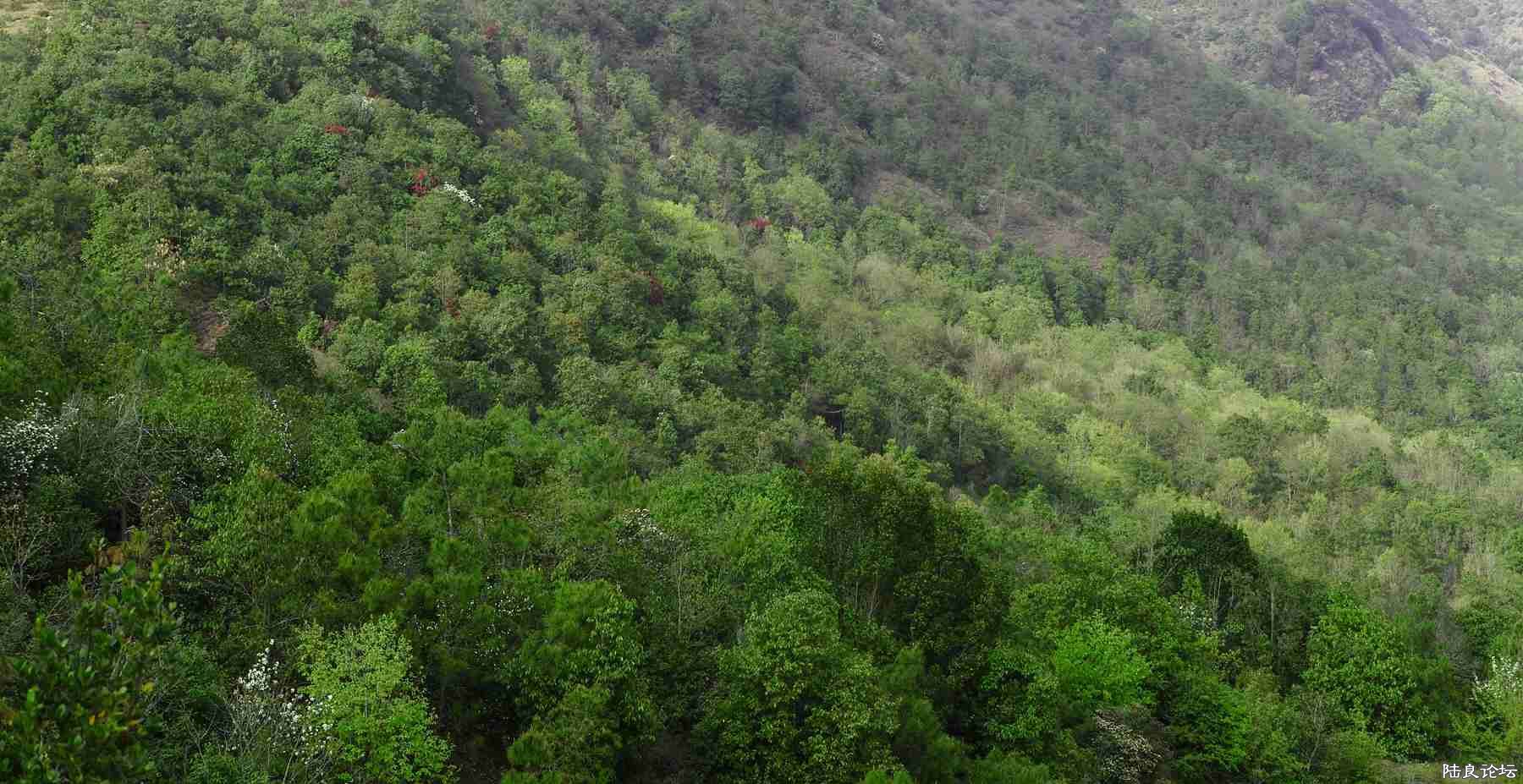 ���� (83).jpg