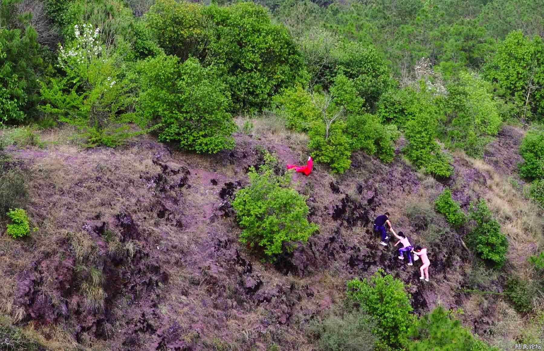 ���� (84).jpg