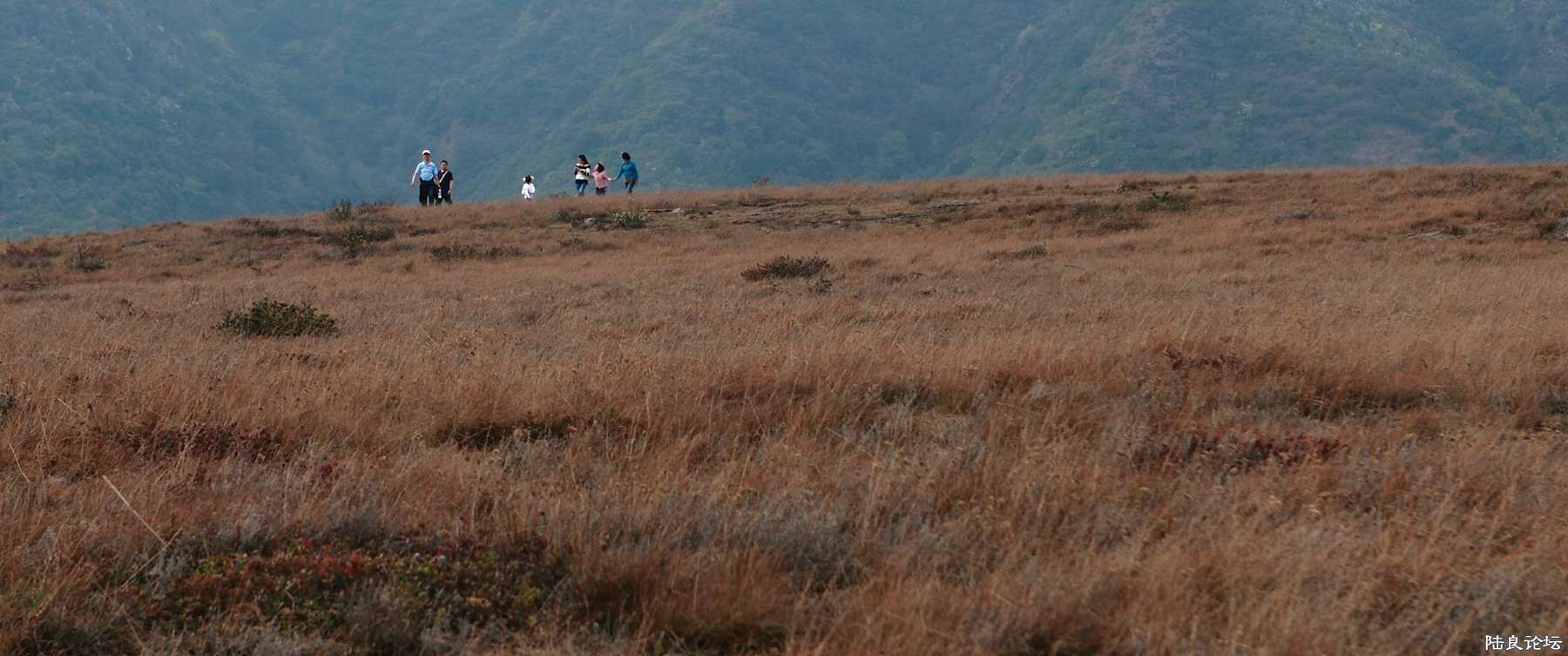 ���� (88).jpg