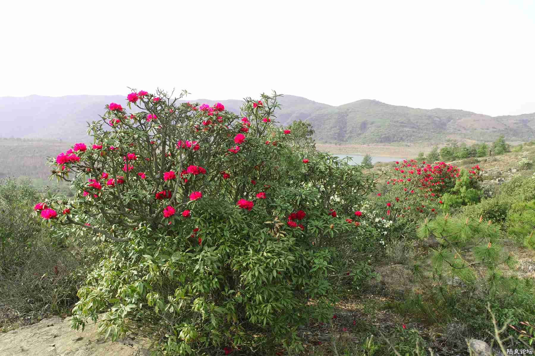 ���� (90).jpg